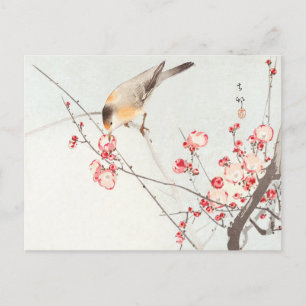 Songbird on blossom branch - Ohara Koson - Art Postcard