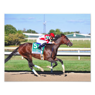 Songbird & Smith Photo Print