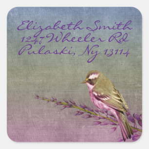 Songbird Square Sticker