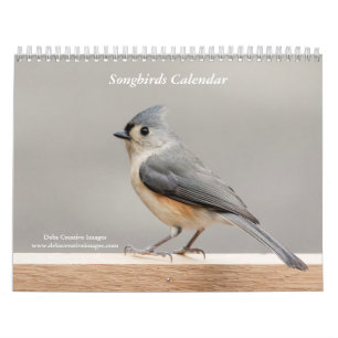 Songbirds 2025 calendar