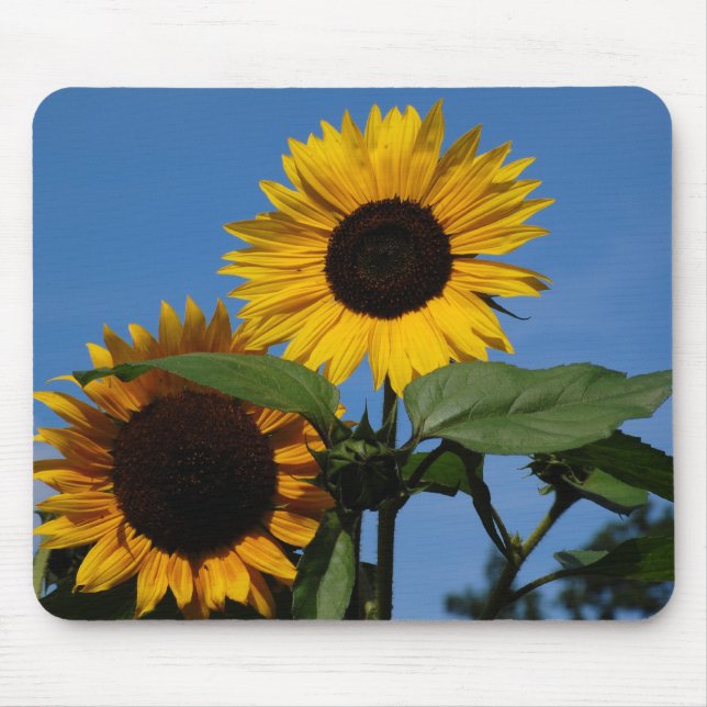 Sonnenblumen Mouse Pad (Front)