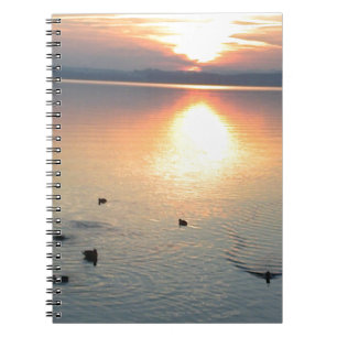 Sonnenuntergang am See mit Enten Notebook