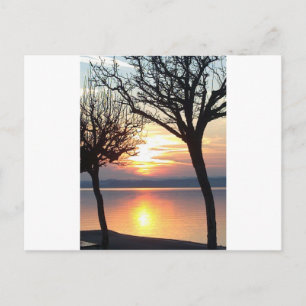 Sonnenuntergang am See Postcard