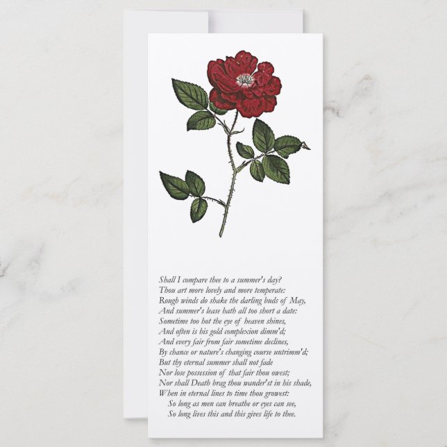 Sonnet # 18 by William Shakespeare Invitation (Front)