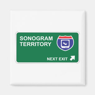 Sonogram Next Exit Magnet