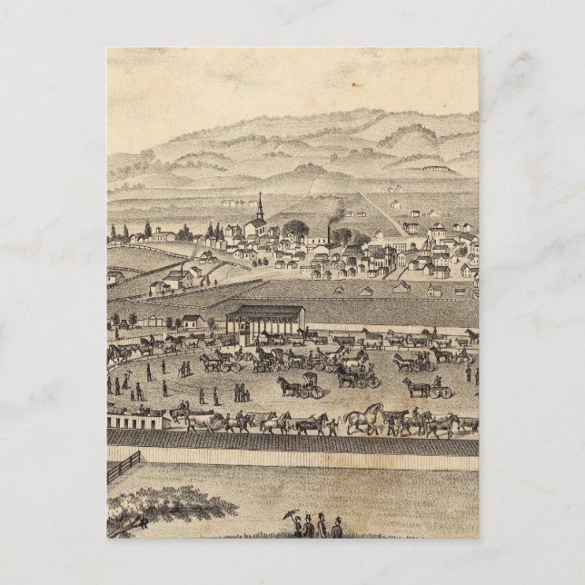 Sonoma and Marin District Agricultural Society Postcard (Front)