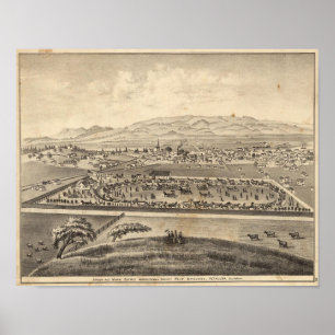 Sonoma and Marin District Agricultural Society Poster