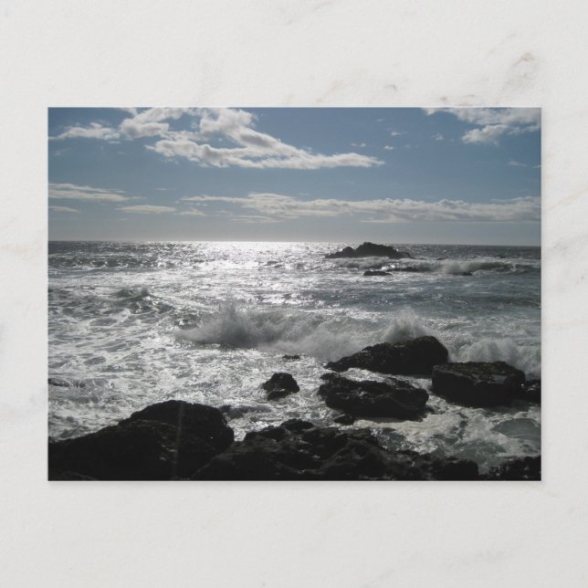 Sonoma Coast, Bodega, Ca. Blank Postcard (Front)