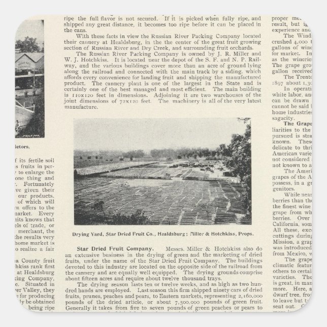 Sonoma County, California Square Sticker (Front)