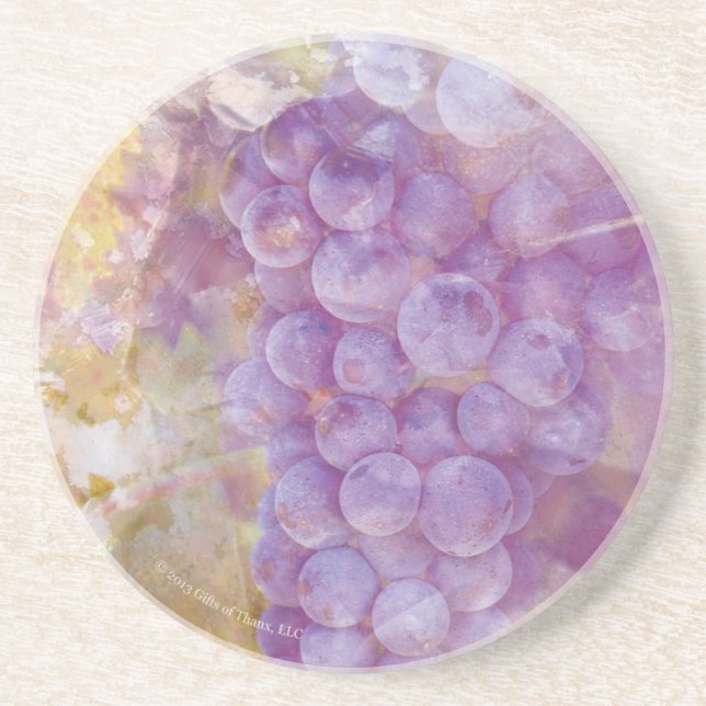 Sonoma County Vineyard Grapes - Sandstone Coaster (Front)