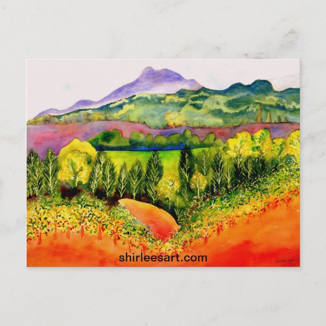 Sonoma County Vineyard Postcard (Front)