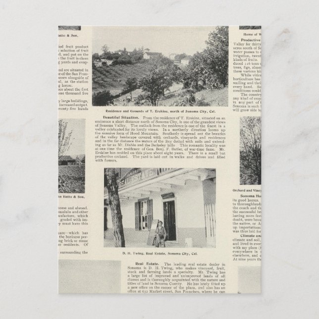 Sonoma Farms, California Postcard (Front)