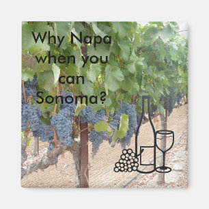 Sonoma Valley wine lovers Magnet