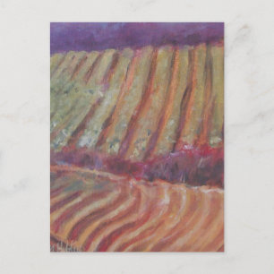 Sonoma Vineyards California vine wine Postcard
