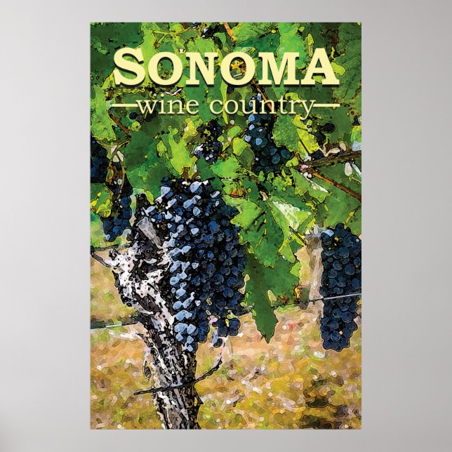 Sonoma Wine Country Poster (Front)
