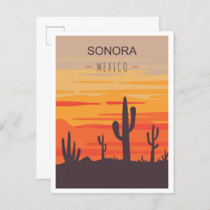 Sonora Mexico Art Vintage Travel Illustration Postcard