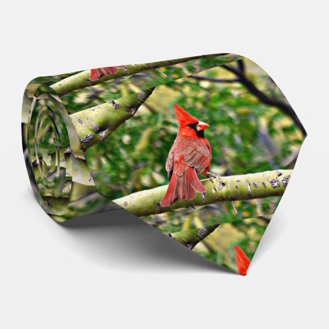 Sonoran Cardinal Men's Tie (Rolled)