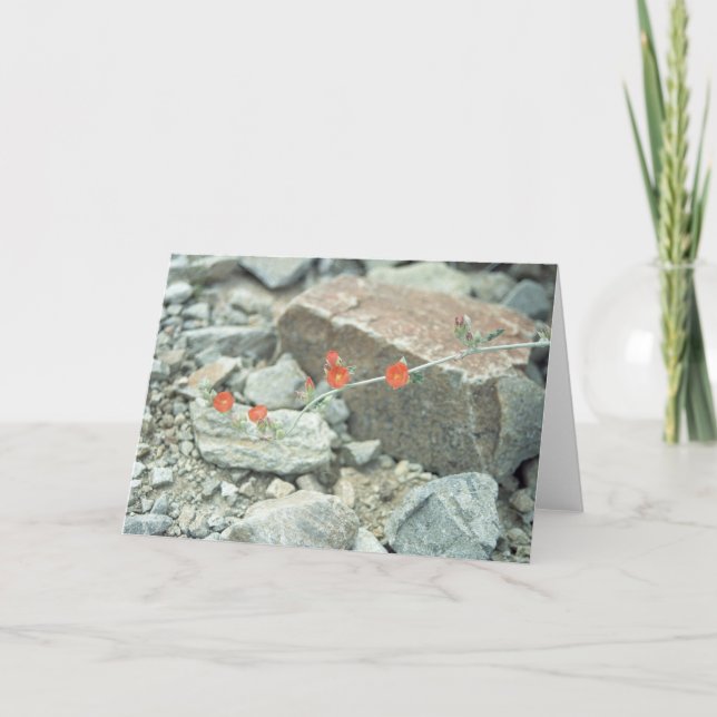 Sonoran Desert Blossoms Greeting Card or Note Card (Front)