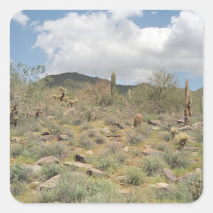 Sonoran Desert Cactus Custom Sticker Decal