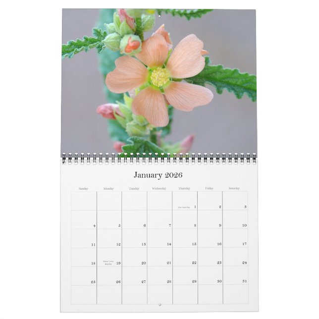 Sonoran Desert Calendar for 2008 (Jan 2026)