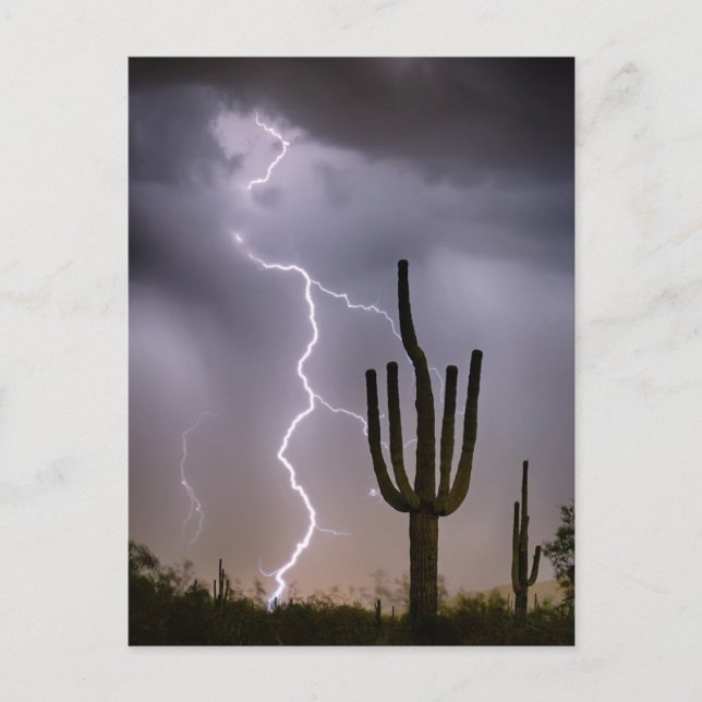 Sonoran Desert Monsoon Storming Postcard (Front)
