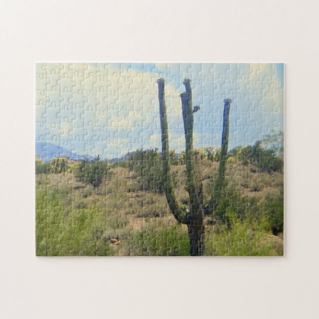 Sonoran desert puzzle (Horizontal)