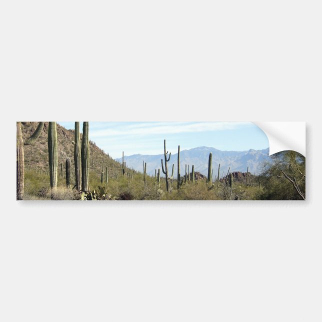 Sonoran desert scene 02 bumper sticker (Front)