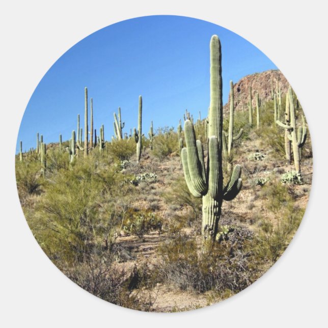 Sonoran Desert scene 03 Classic Round Sticker (Front)