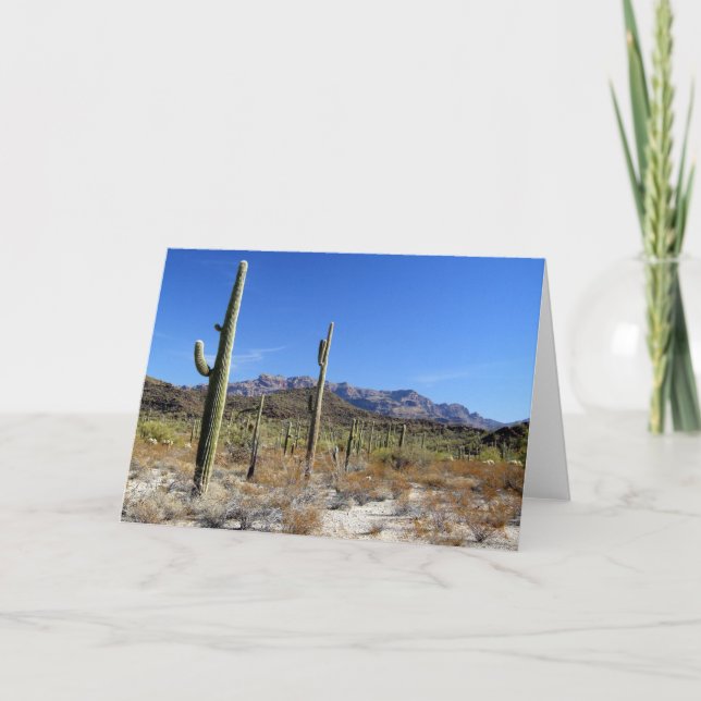 Sonoran Desert Scene 13 Card (Front)