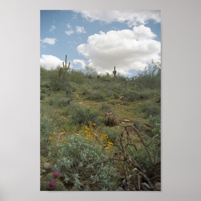 Sonoran Desert Spring Symphony Art Print Posters (Front)