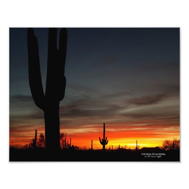 Sonoran Desert sunset Arizona with saguaro cactus Photo Print (Front)