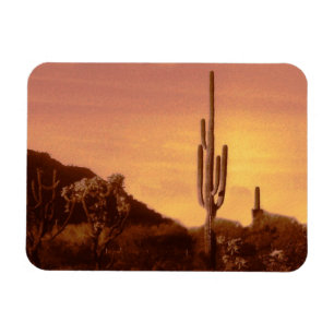 Sonoran desert sunset magnet