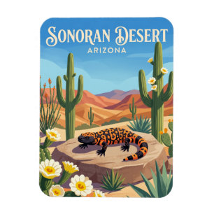 Sonoran Desert USA Magnet