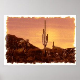 Sonoran Sunset print