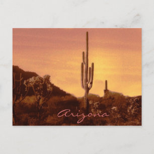 sonoran sunset with text postcard