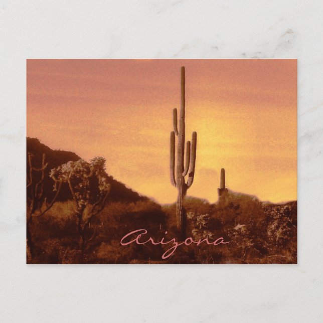 sonoran sunset with text postcard (Front)
