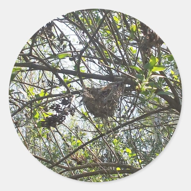 Son's hummingbird's Nest Square Sticker (Front)