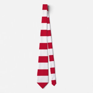 Sons of Liberty flag Tie