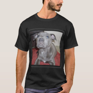 Sooky Blue Staffordshire Bull Terrier Puppy, T-Shirt