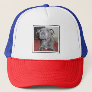 Sooky Blue Staffordshire Bull Terrier Puppy, Trucker Hat