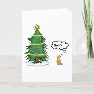 'Soon' Tree and Cat Holiday Card - English, Orange