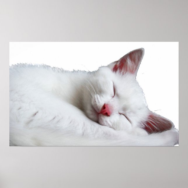 sooooooooooooooo sleepy poster (Front)