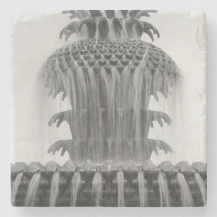 Soothing Pineapple Stone Coaster