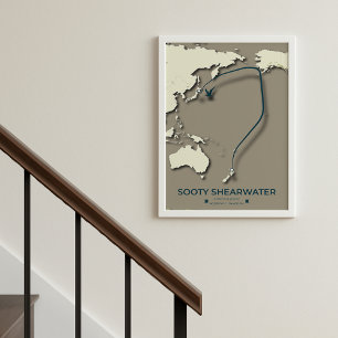 Sooty Shearwater Migration Map – Minimalist Poster