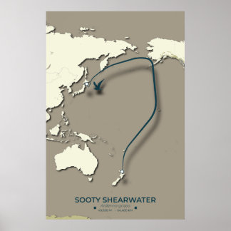 Sooty Shearwater Migration Map – Minimalist Poster