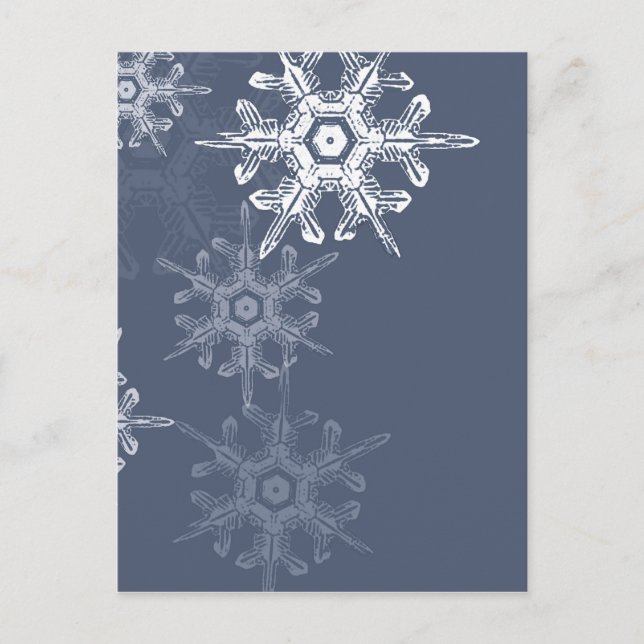 Sophisticated blue/grey snowflakes postcard (Front)