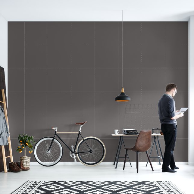 Sophisticated Dark Gull Grey Wallpaper (Living Room)