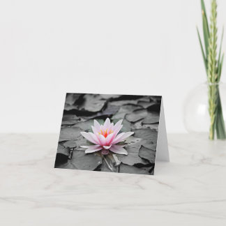 Sophisticated Lily Thank You Card
