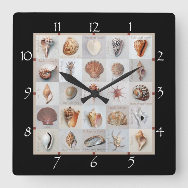 Sophisticated Shells Square Wall Clock (Front)