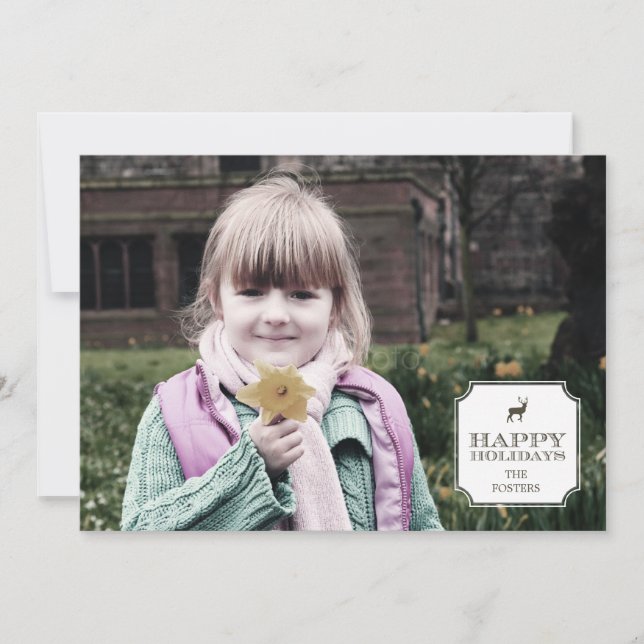 Sophisticated Tag Holiday Photo Cards (Front)
